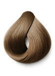 Light Brown hair color